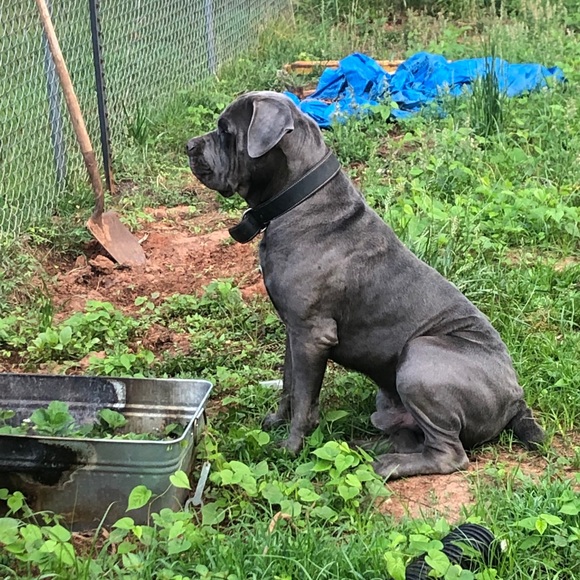 Meet your Posher, Jimmy - Picture 1 of 1